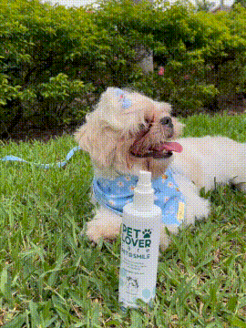 Pet Smile Spray 🌟 🐶