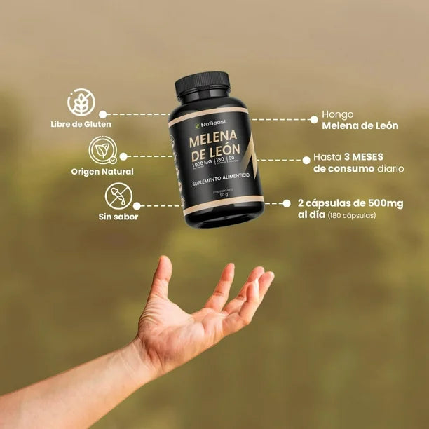 Melena de León 🧠 - Gold 🏆