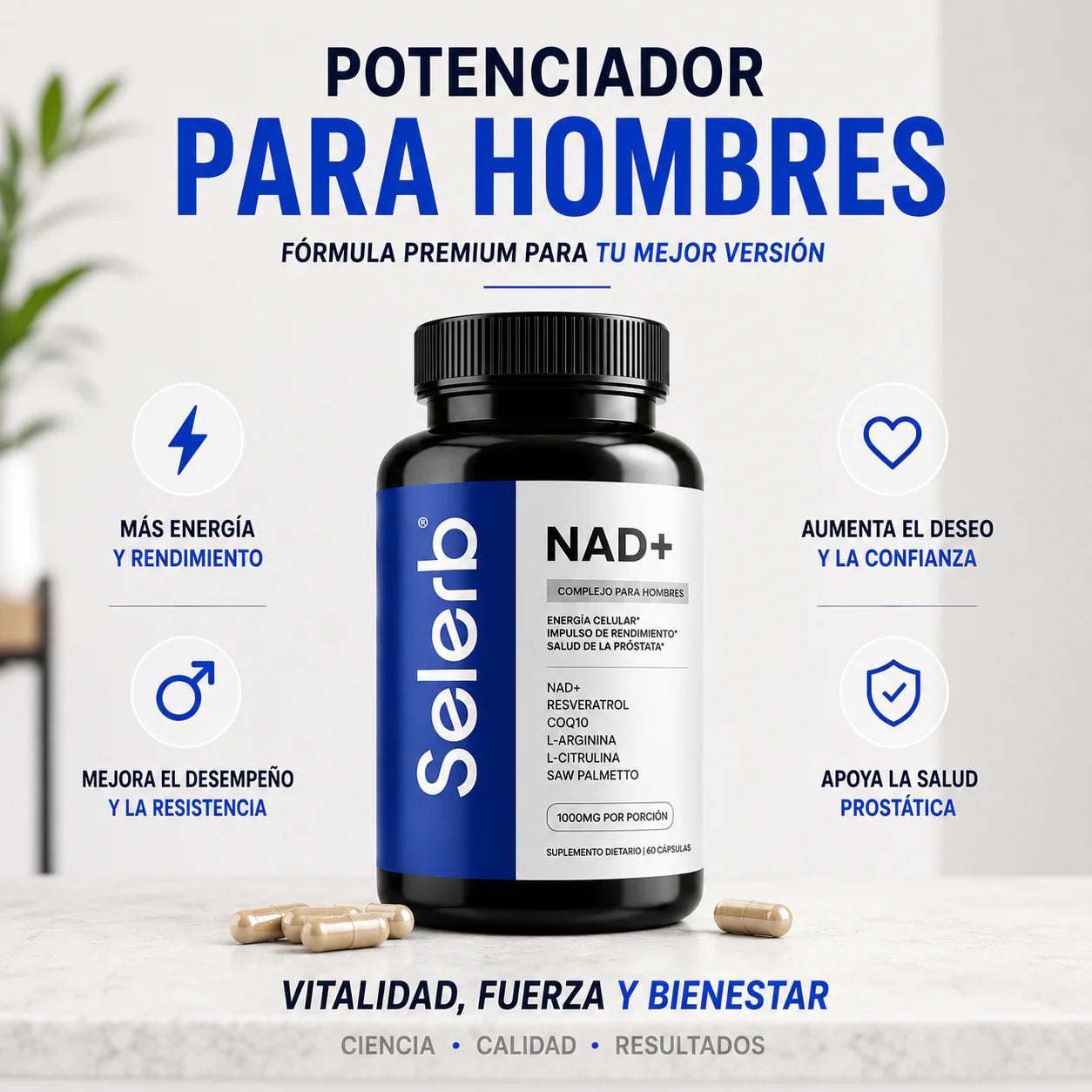 Selerb - Potenciador 🔥