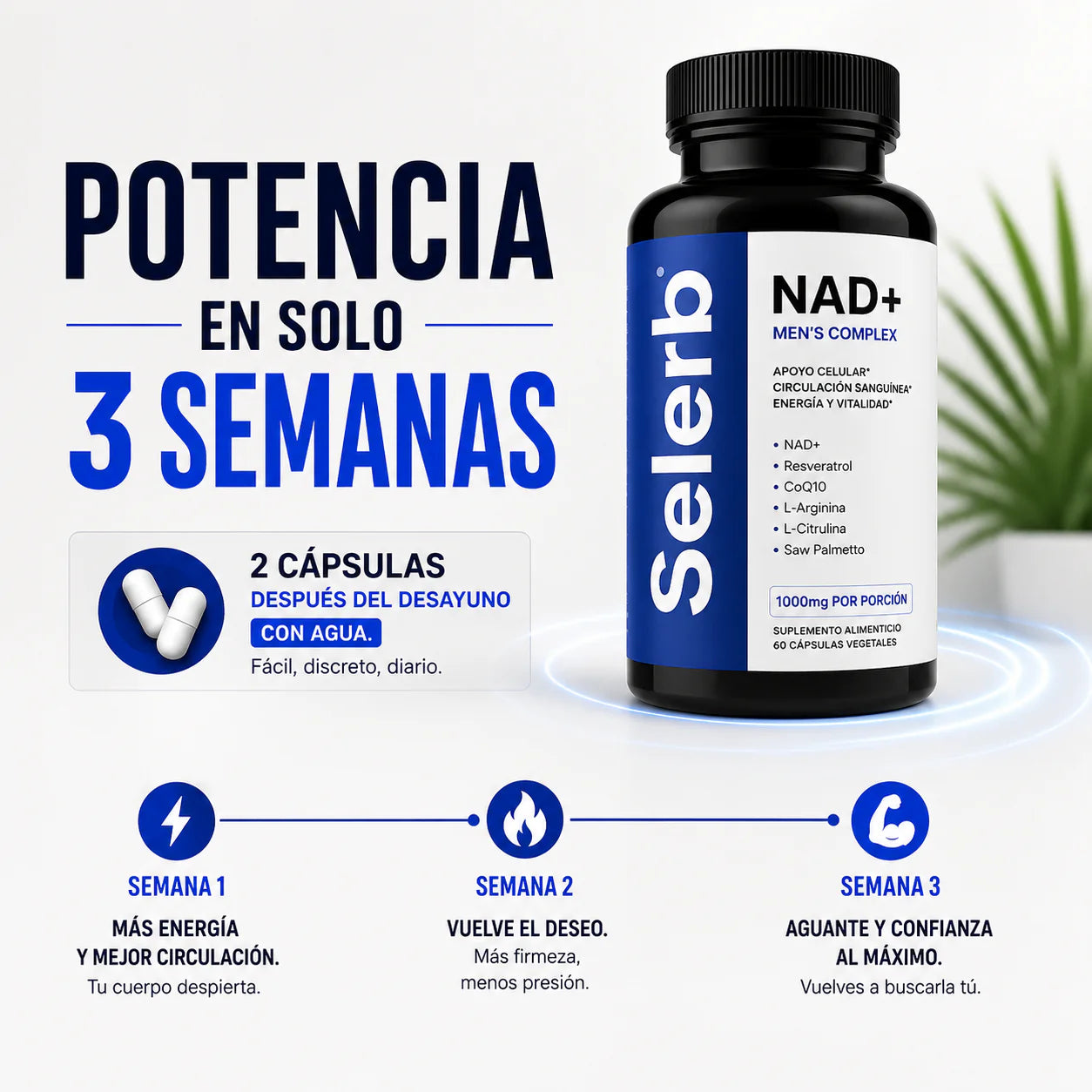 Selerb - Potenciador 🔥