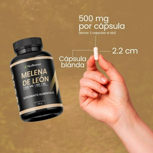 Melena de León 🧠 - Gold 🏆